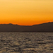 Rientro al tramonto... - AMP Promontorio di Portofino